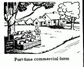 A part-time commercial farm is one option for a happy homestead.